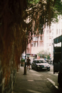 Road along buildings