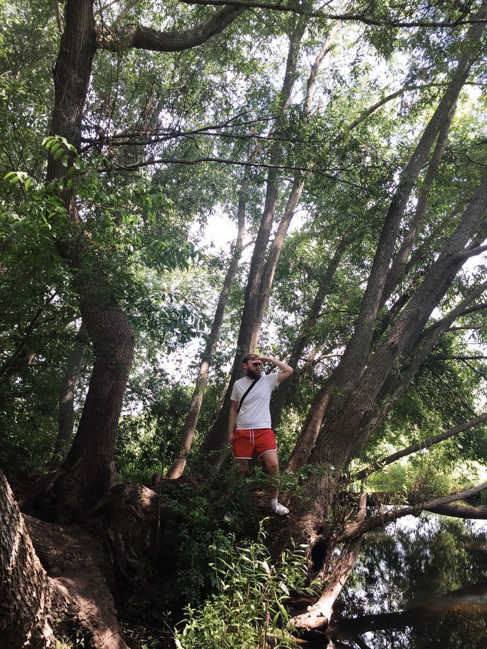 LOW ANGLE VIEW OF WOMAN STANDING BY TREE IN FOREST