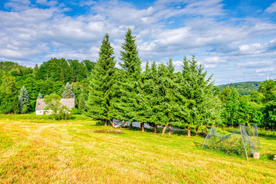 Trees on field against sky