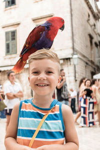 Happy little boy having fun while parrot is standing on his head.