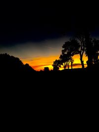 Silhouette trees at sunset