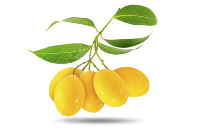 Close-up of fruit against white background