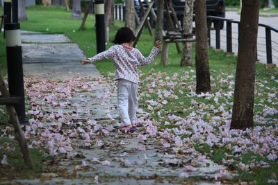 Rear view of girl walking amidst cheery flowers on field