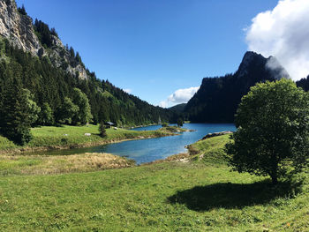 Scenic view of lake and trees against sky