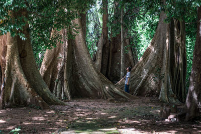 Man standing amidst trees in forest