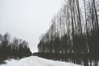 Snow covered trees against clear sky