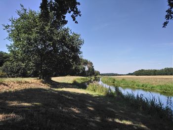 Scenic view of field by lake against sky