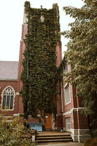 Low angle view of trees and building against sky