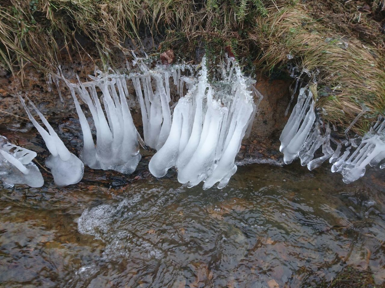 Parque natural de gorbea