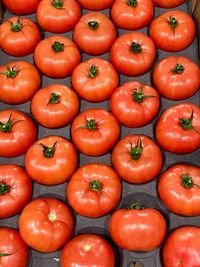 Full frame shot of tomatoes for sale