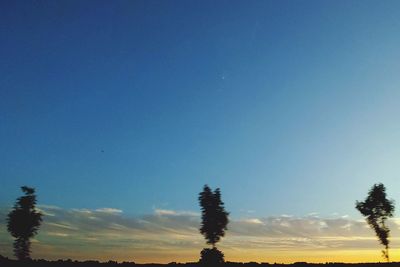 Low angle view of silhouette trees against clear blue sky