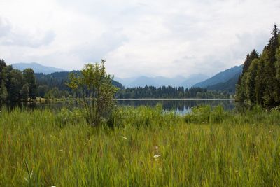 Scenic view of lake against sky