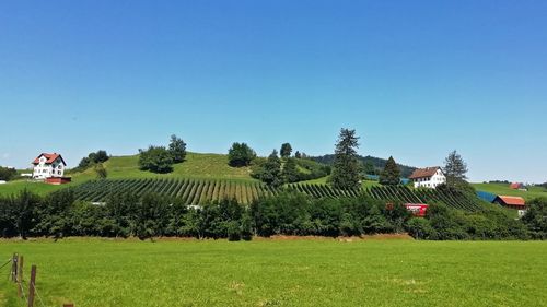 Scenic view of field against clear sky