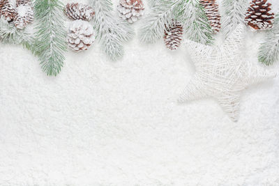 Close-up of christmas tree in snow