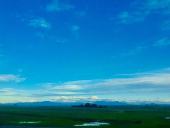 Scenic view of agricultural field against blue sky