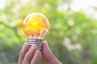 Close-up of person holding light bulb against trees