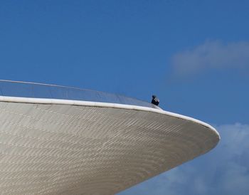 Low angle view of man against blue sky