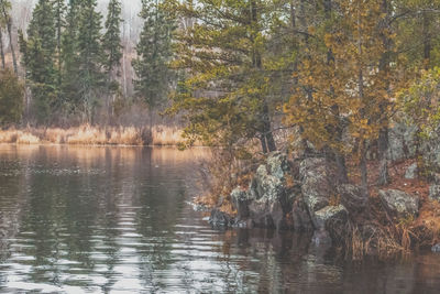 Scenic view of lake with trees in background