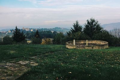 Trees on field against sky