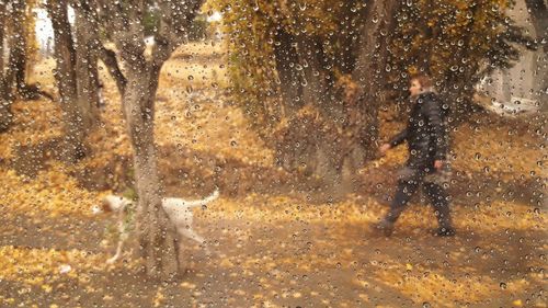 Reflection of man in water