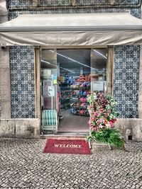 View of plants against the wall