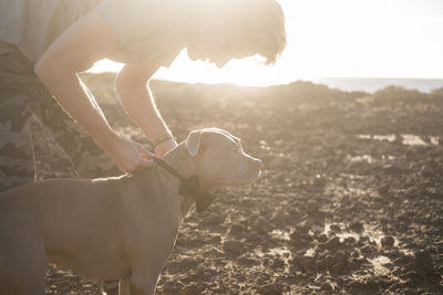 Man tying bow tie on dog neck at beach during sunset