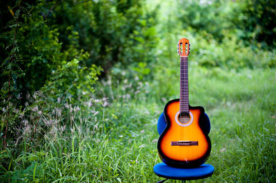 View of guitar on field