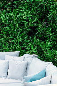 Close up image of seating sofa cushion in the garden 