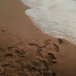 Scenic view of beach