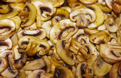 Full frame shot of mushrooms