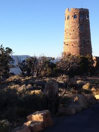 Horse against clear sky