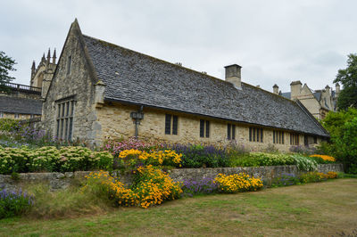 Yellow flowering plants by building against sky