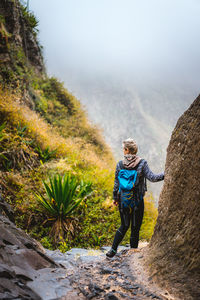 Rear view of woman walking in forest