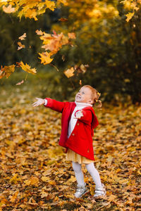 Funny little girl in a red coat catches fall leaves having fun and walking in the autumn forest