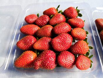 High angle view of strawberries