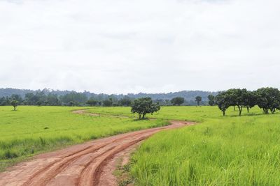 Dirt road passing through field against sky