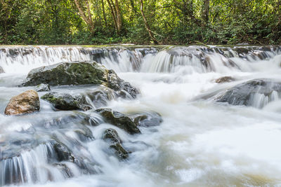 Scenic view of waterfall in forest