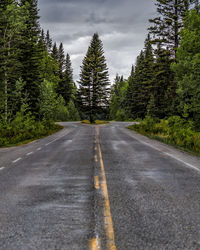 Surface level of road amidst trees against sky