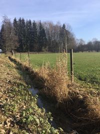 Scenic view of lake in field against sky