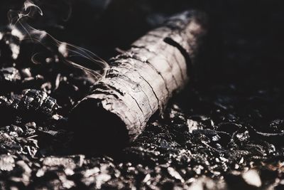 High angle view of bread on wood