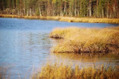 Scenic view of lake