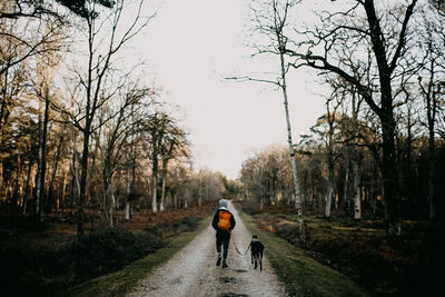 Rear view of people walking on road