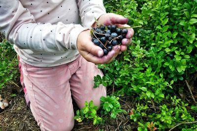 Midsection of child holding berries by plant