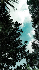 Low angle view of silhouette trees against sky