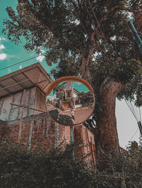 Low angle view of trees and building against sky