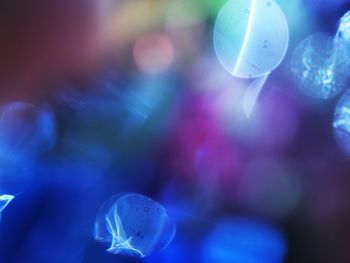 Defocused image of illuminated string lights