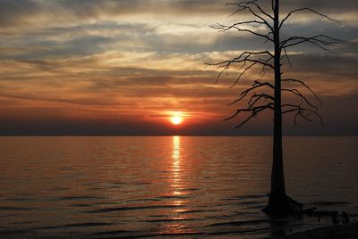 Scenic view of sea against orange sky