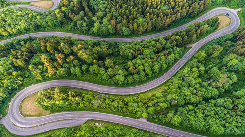 High angle view of road amidst trees in forest