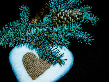 Close-up of christmas decoration