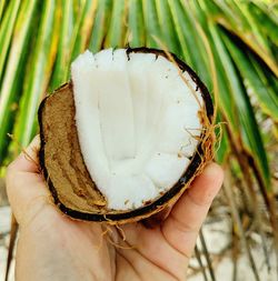 Cropped hand of woman holding coconut food